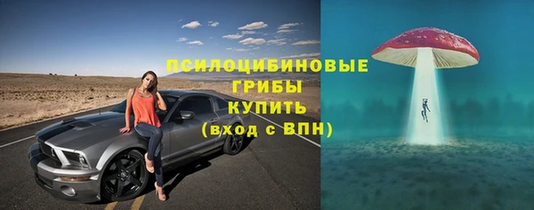 дмт Кинешма