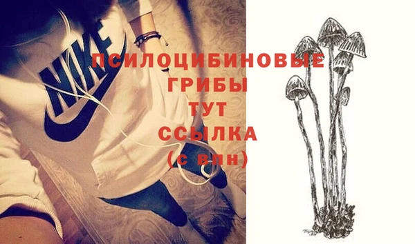 герыч Козловка