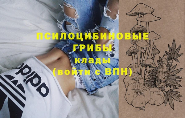 COCAINE Козельск