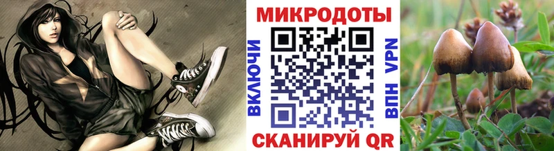 кракен онион  Луховицы  Галлюциногенные грибы мухоморы 