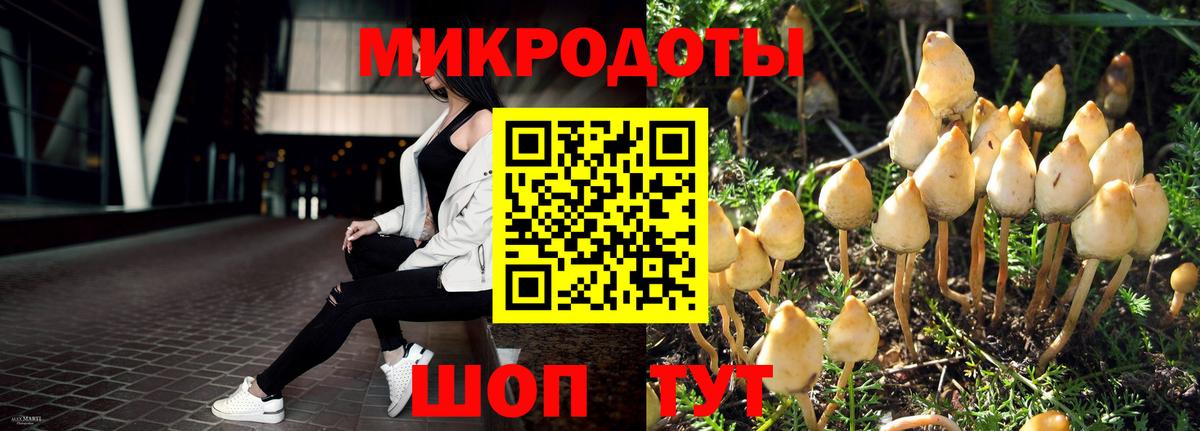 Луховицы  Псилоцибиновые грибы GOLDEN TEACHER  наркотики  Псилоцибиновые грибы мухоморы  Вход с VPN 