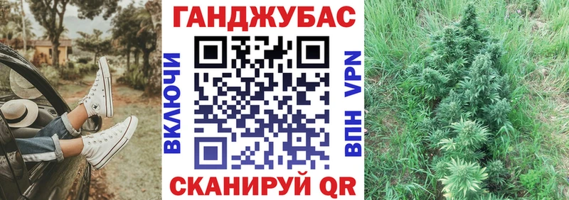 Каннабис план  купить   Луховицы 